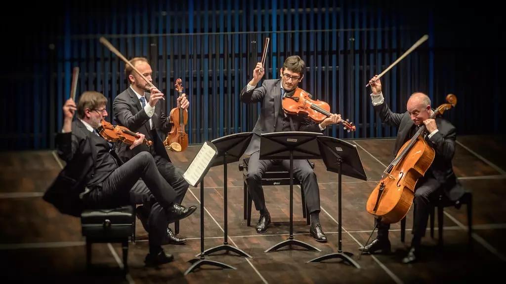 Per imparare a suonare il violino puoi prendere lezioni con le associazioni culturali e le scuole di musica oppure rivolgerti a un insegnante privato per prepararti all'ammissione in conservatorio, sfruttando anche le app per esercitarti con un'orchestra.
