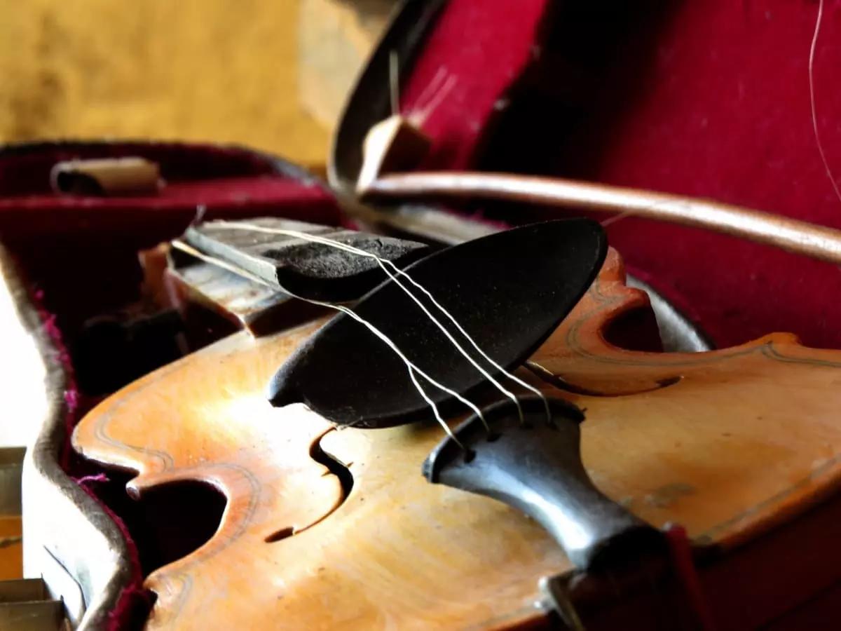 Le corde sono uno degli accessori più importanti per un violinista.