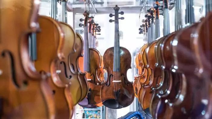 Cerchi un corso di violino? Dai un'occhiata ai nostri insegnanti!
