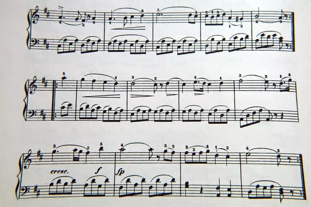 Con un corso di violino puoi imparare il solfeggio e decifrare uno spartito!