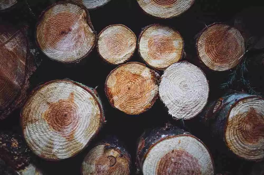 Un cuscino in materiale morbido, potrà risolvere tutti i problemi dovuti ad una superficie dura.