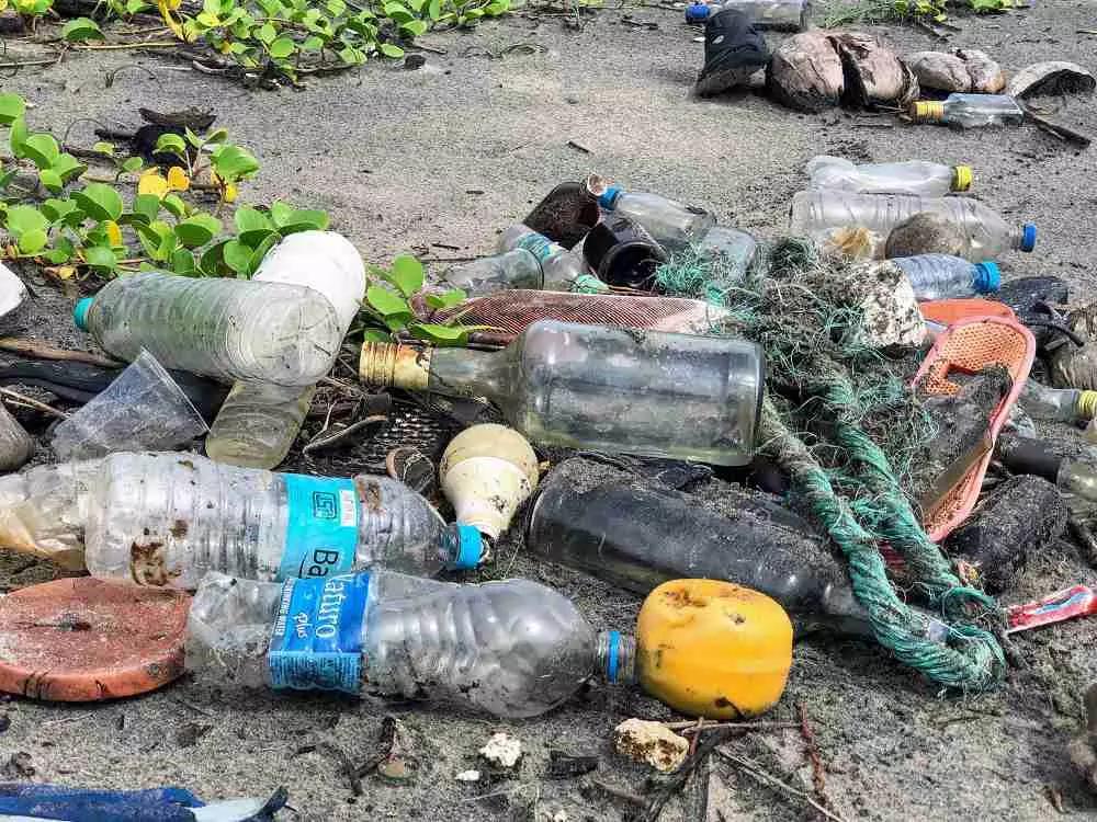 Ognuno deve fare la propria parte nella lotta per aiutare l’ambiente; anche i violinisti!