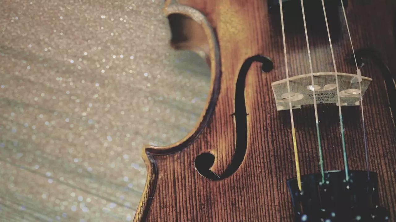 Gli accessori di cui un aspirante violinista non può fare a meno sono l'archetto, il poggiaspalla, la mentoniera e molti altri.