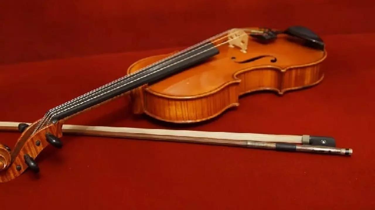Le maggiori case produttrici di violino come la Stentor o la Primavera hanno strumenti di qualità e un'ampia scelta di accessori per violino.