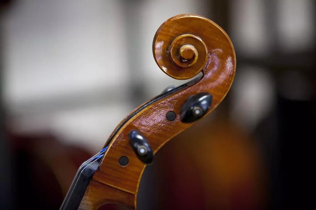 Il vantaggio dei violini Stagg è il prezzo.