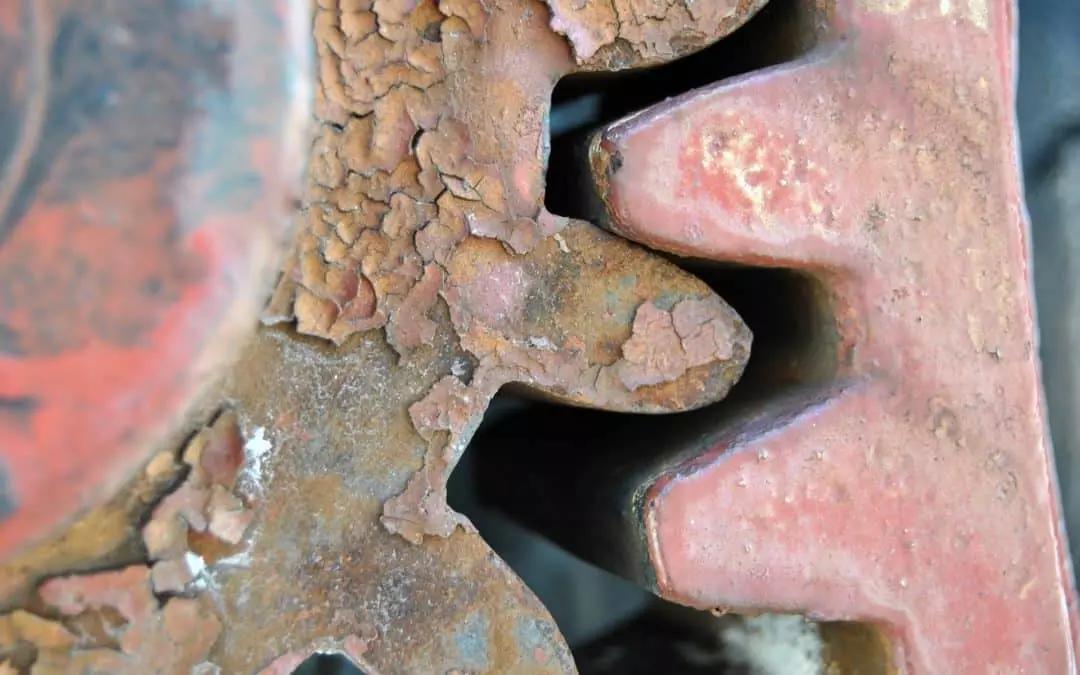 Gli uomini e le donne di tutti i tempi sono sempre stati attratti dai corpi in moto.