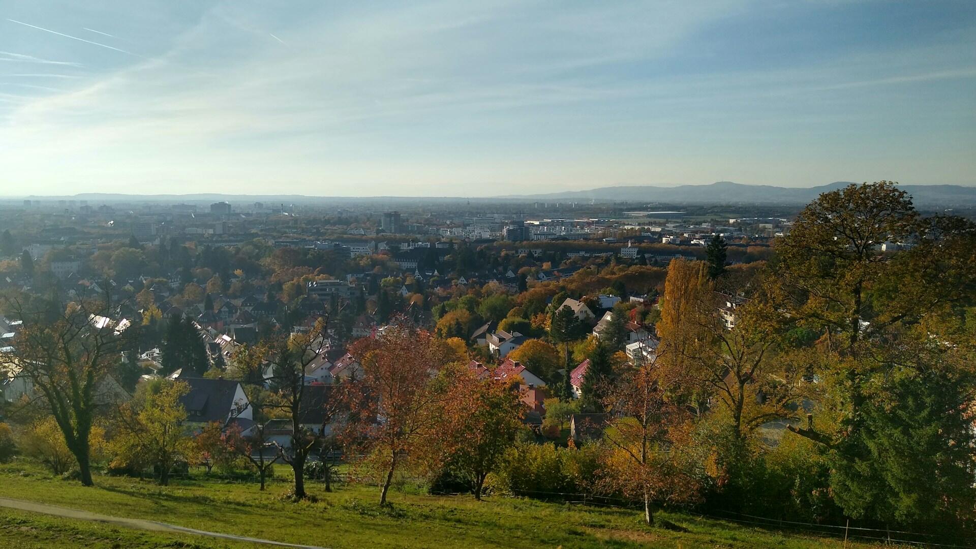 Vista mozzafiato della natura di Friburgo, una delle città più belle della Germania.