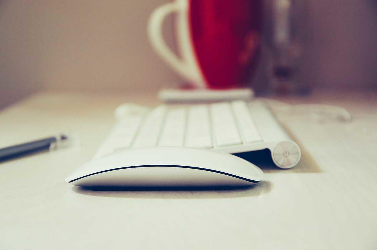 Esistono mouse a filo, ma anche mouse funzionanti tramite porta Bluetooth.