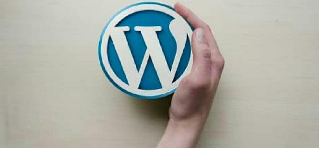 Per aggiornare la versione PHP di WordPress è sufficiente installare un plugin che effettua un controllo sulla versione corrente e installa gli aggiornamenti a tutti i temi che usi.
