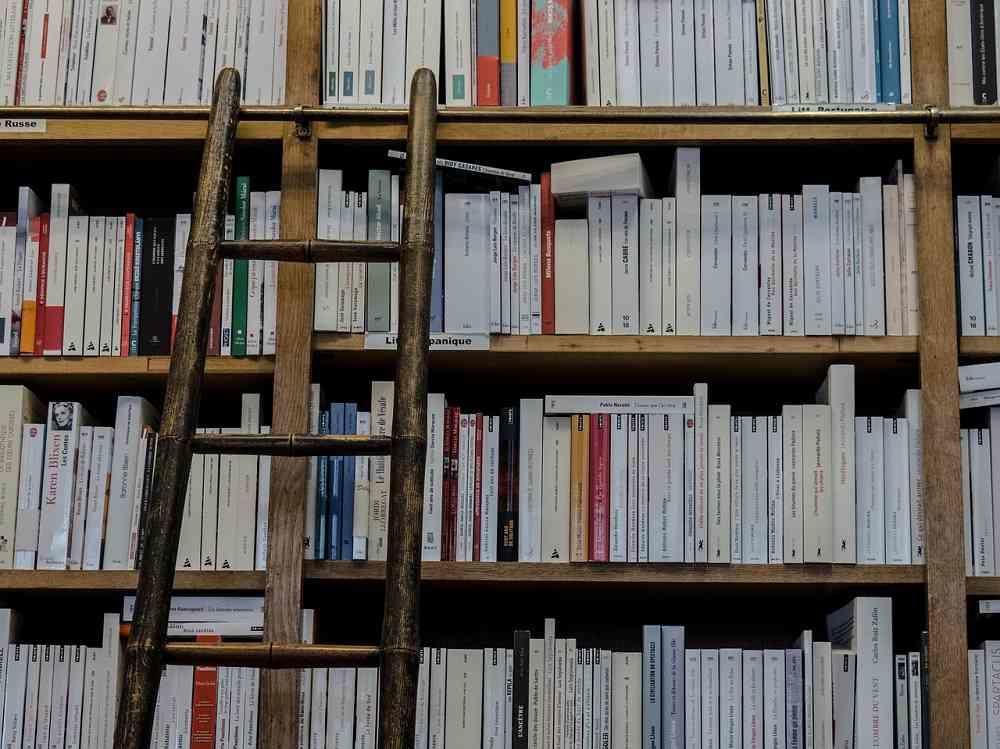 Biblioteca, libreria, certamente. Ma anche gli appunti dei tuoi anni scolastici o universitari e soprattutto internet.