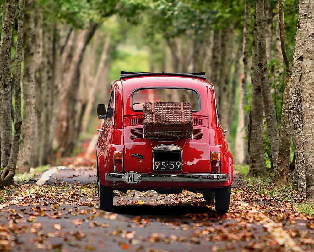 La conoscenza dell'italiano non ti apre solo le porte della lingua e del Paese, ma anche della cultura dello Stivale.