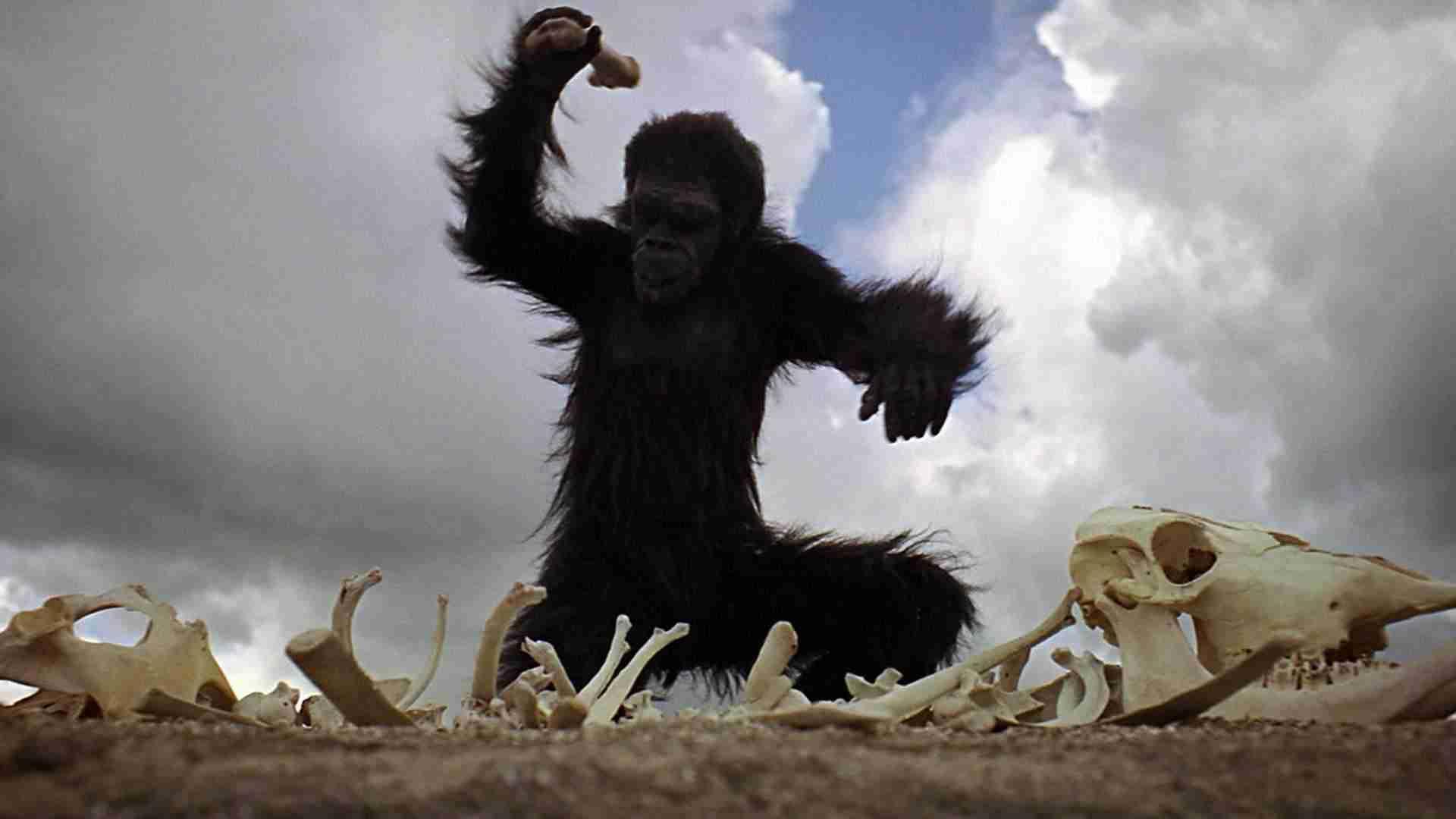 La ricerca della riproduzione dei suoni è stata al centro delle intenzioni degli uomini fin dalla sua comparsa sulla faccia della terra.