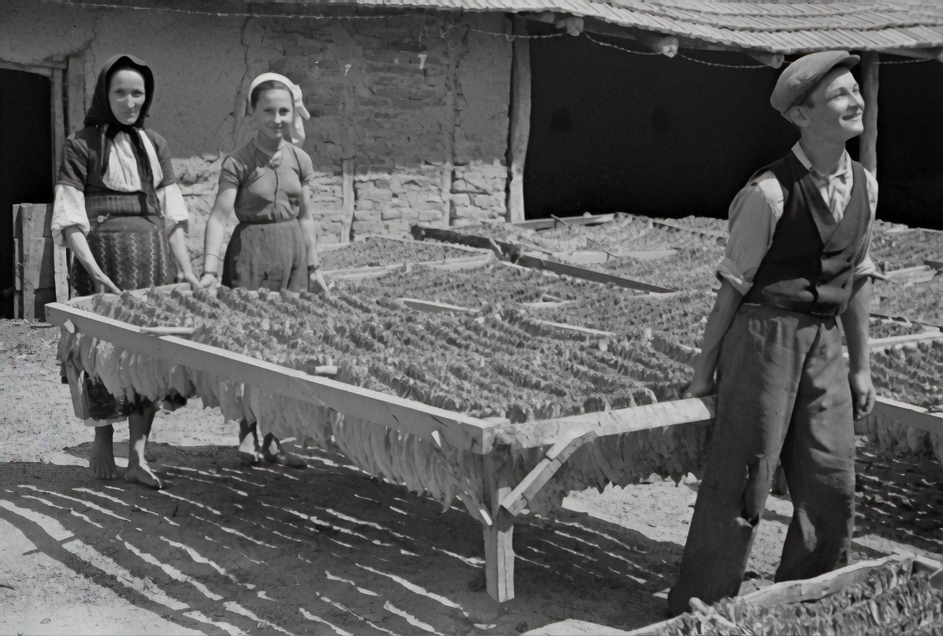 Studiare il modo in cui le classi sociali hanno interagito tra loro, è interessante