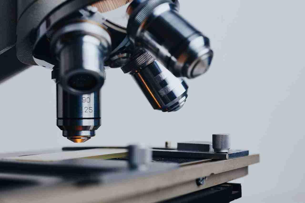 Biologia, chimica, fisica devono tutto al linguaggio della matematica.
