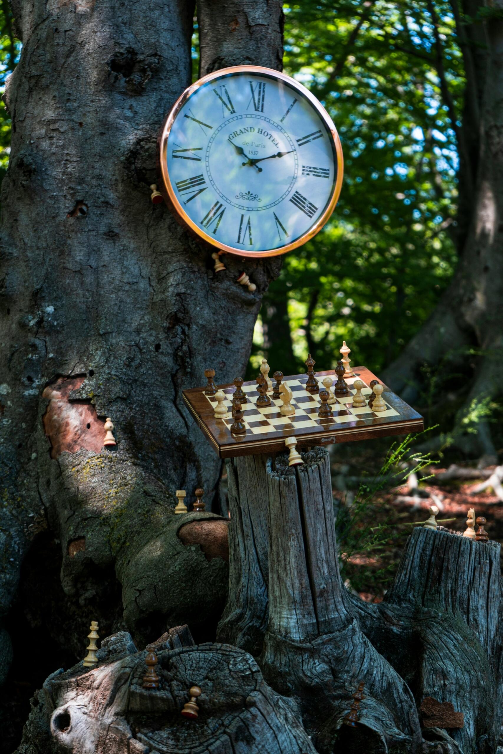 scacchiera e orologio su un albero