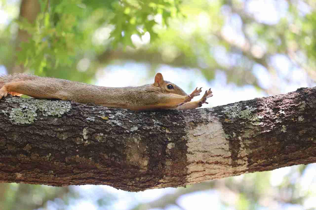 In questo modo, eviterai la formazione di acido lattico e, in più, i tuoi muscoli si allungheranno progressivamente.