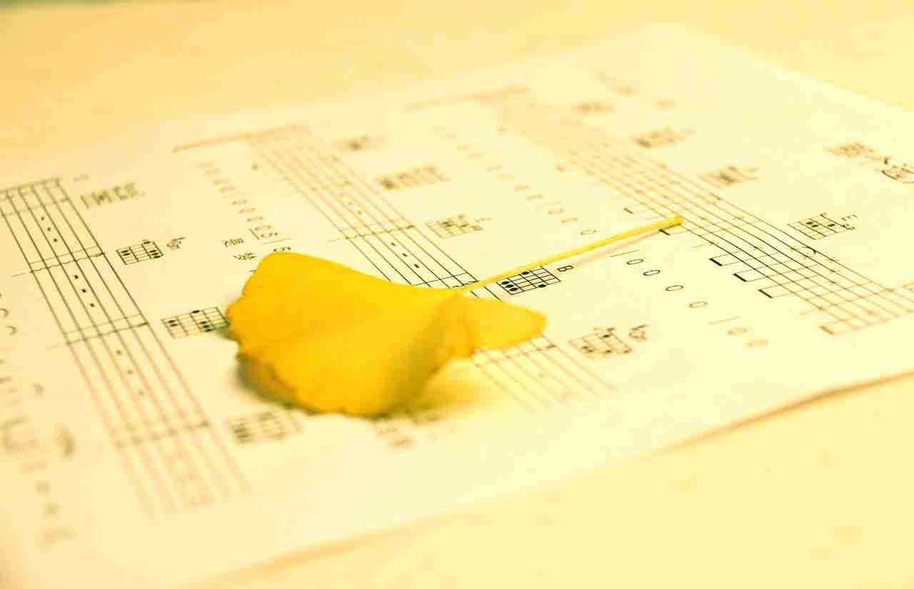 Grazie alle tablature saprai dove posizionare le tue dita sulle corde della chitarra.