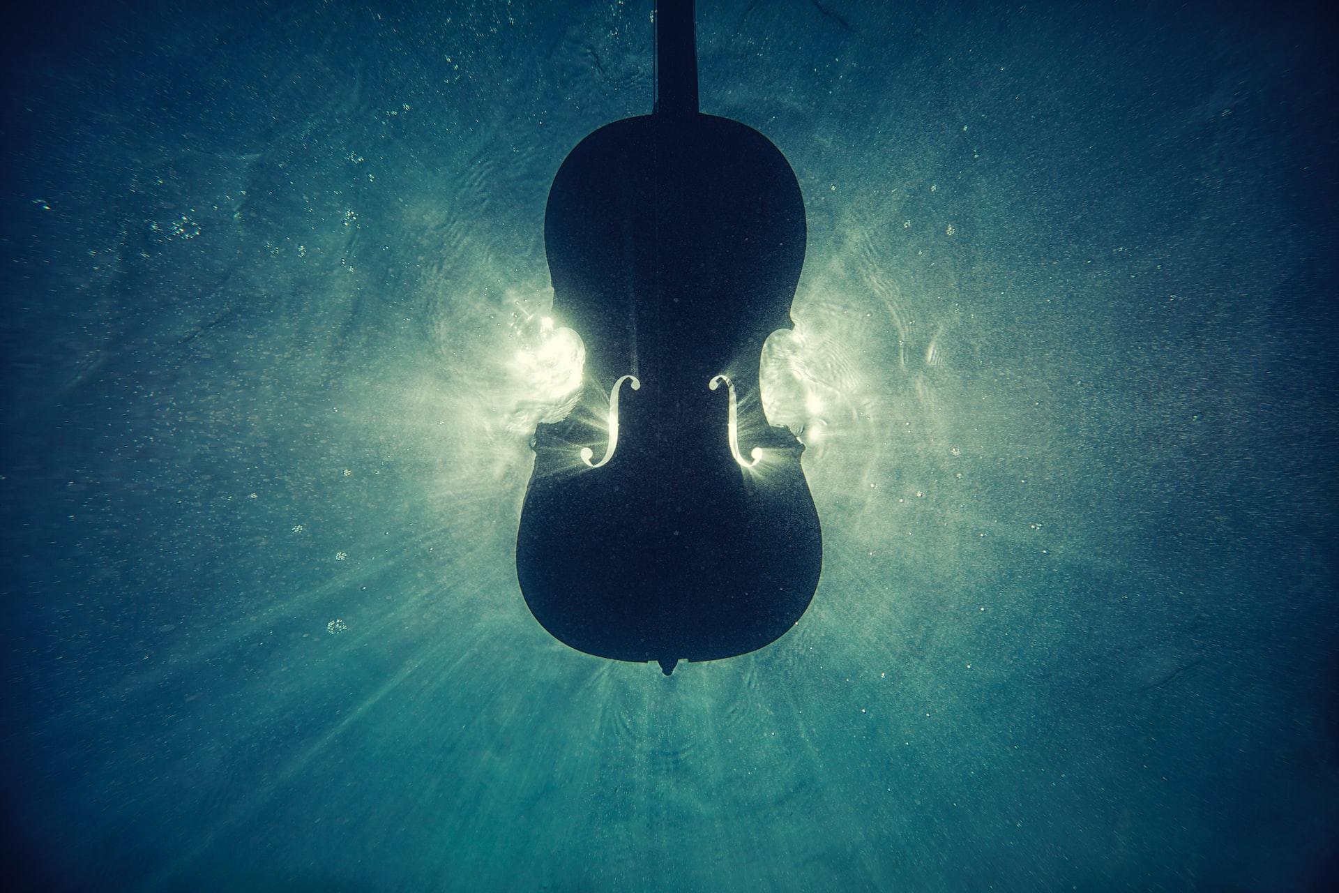 Imparare a suonare il violino è difficile, ma può essere fonte di molte soddisfazioni.