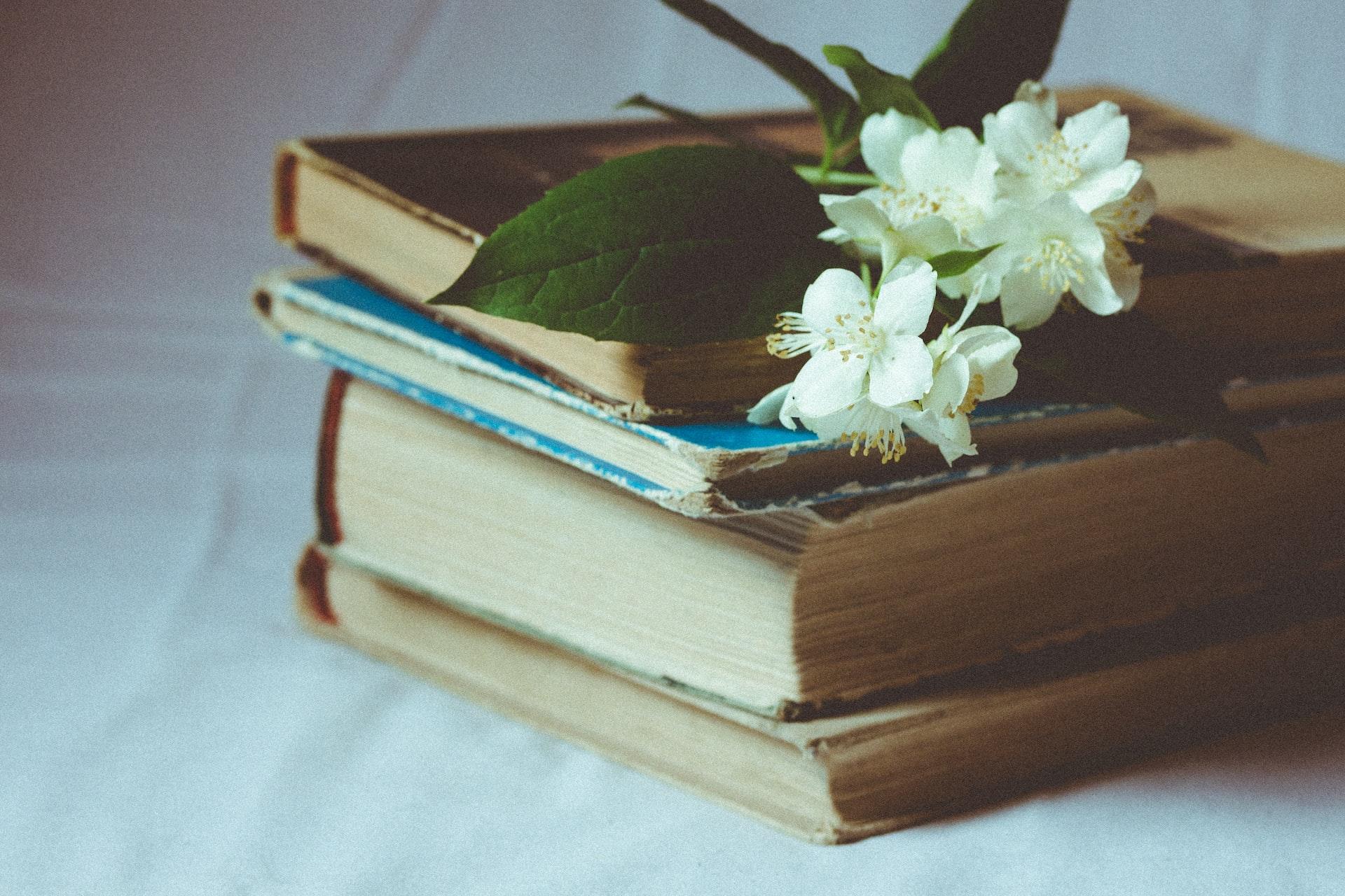 La letteratura ti aiuterà non solo a imparare la lingua, ma anche ad approfondire la tua conoscenza della cultura coreana. 