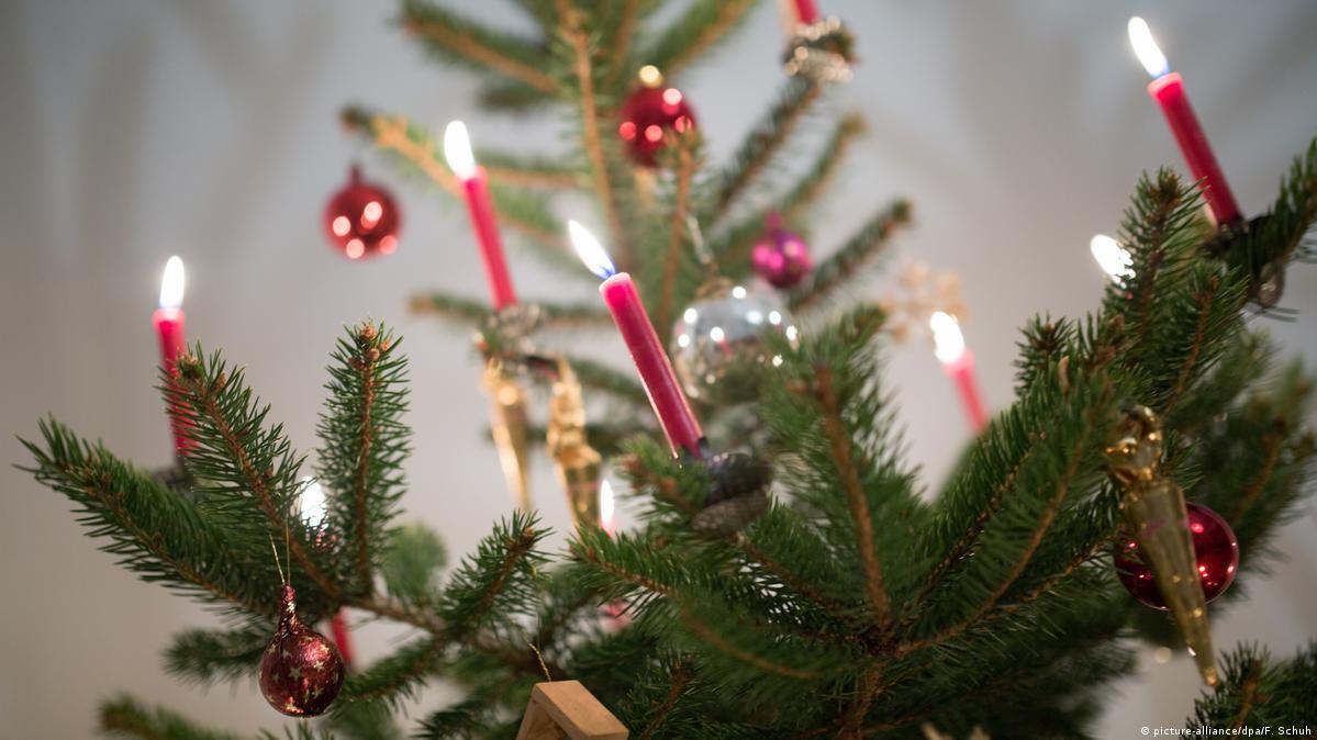 O Tennenbaum, tradotto anche in inglese, celebra l'antica arte contadina di decorare un albero poi diventato il simbolo del Natale nei paesi di lingua tedesca.