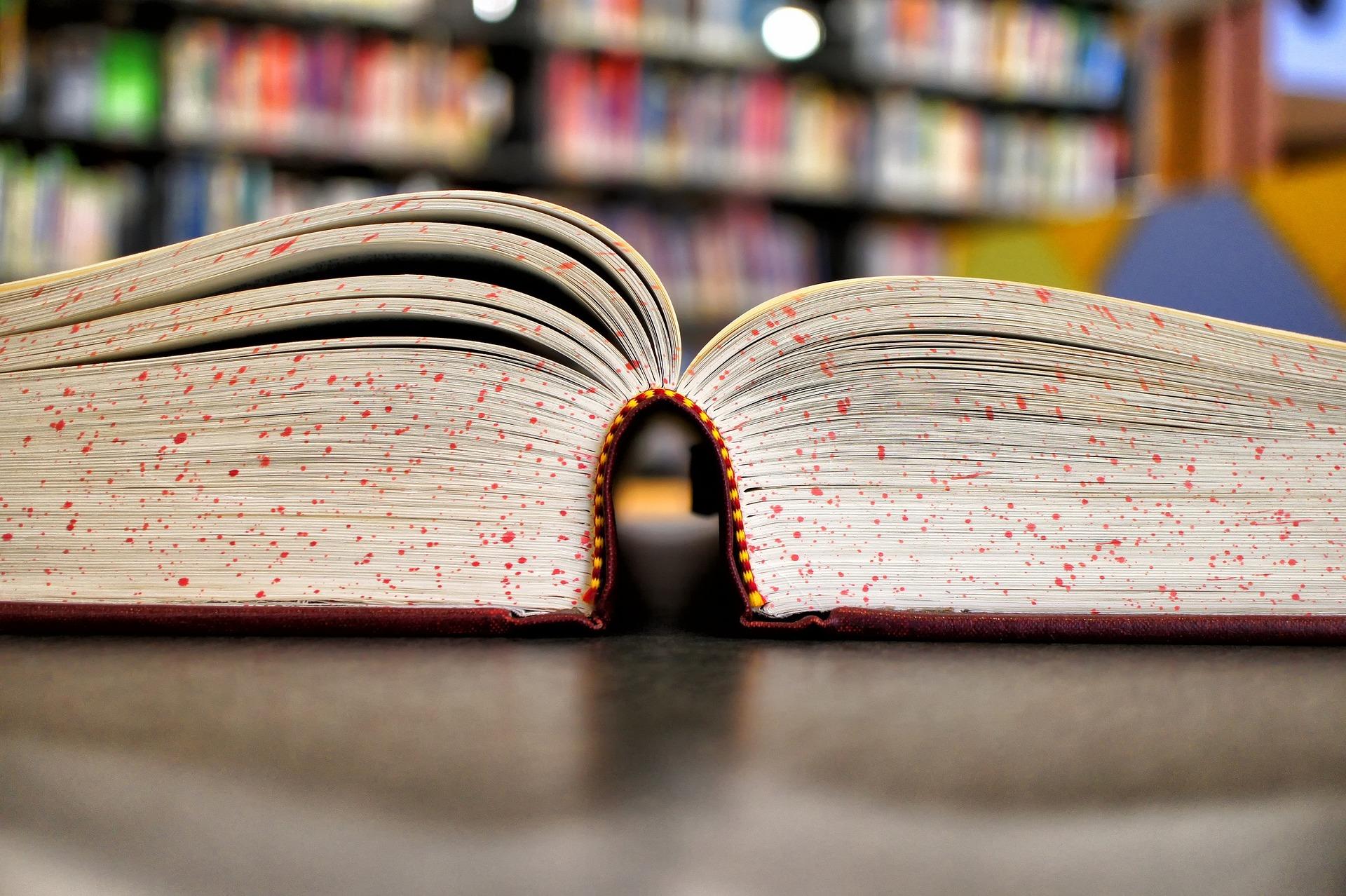 Zoom su libro aperto.