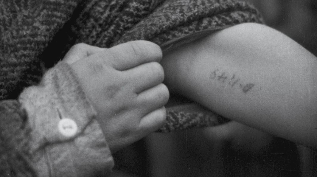 Olocausto e Shoah intendono entrambi il crimine di sterminio di massa compiuto dai nazisti.