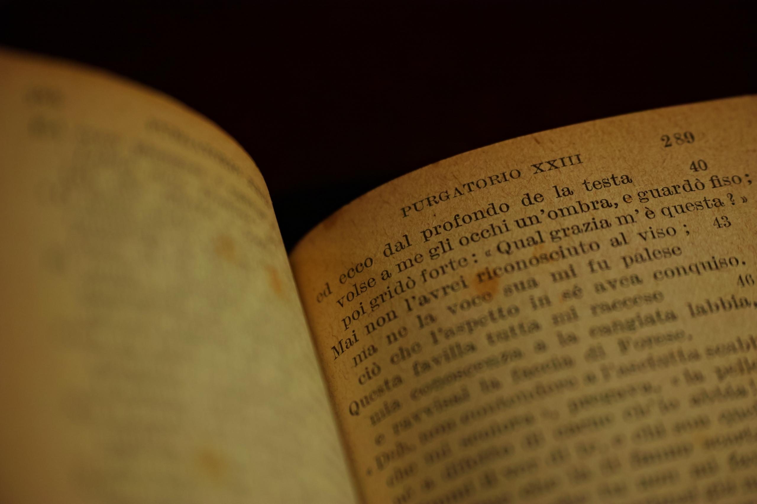 Dante ha scritto numerose opere in prosa e in poesia.