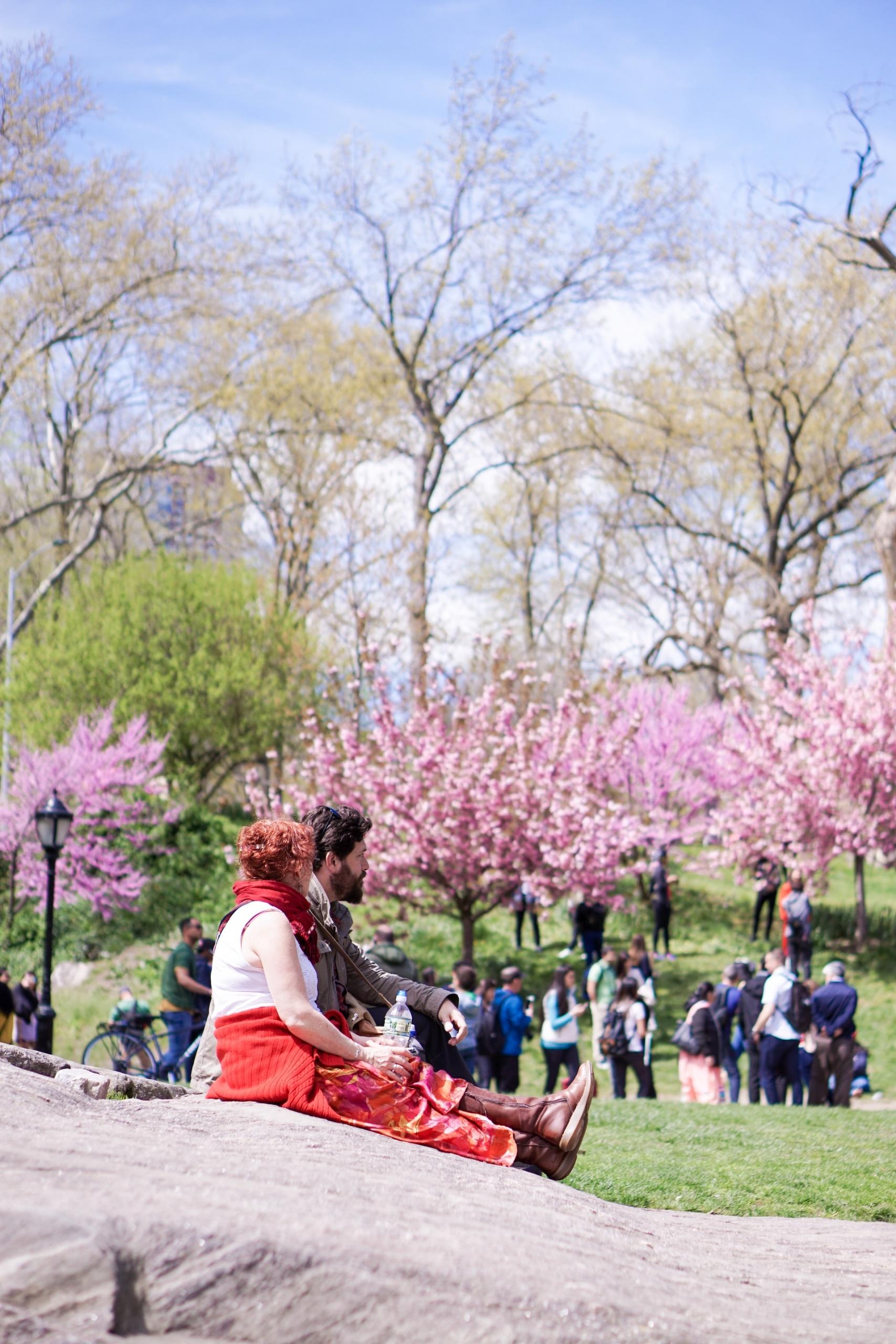 Central Park in primavera