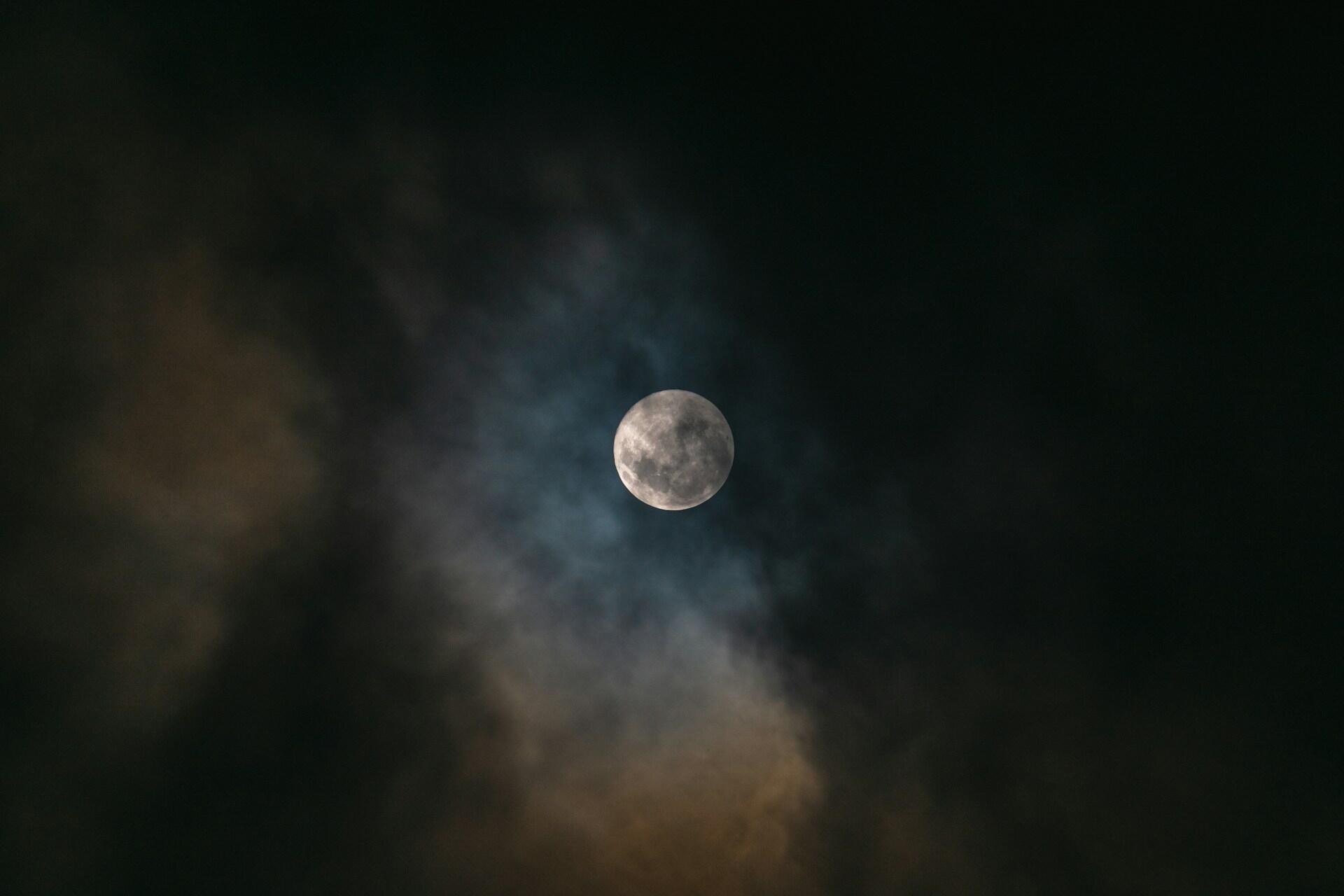 festeggia halloween vestito da vampiro uomo 