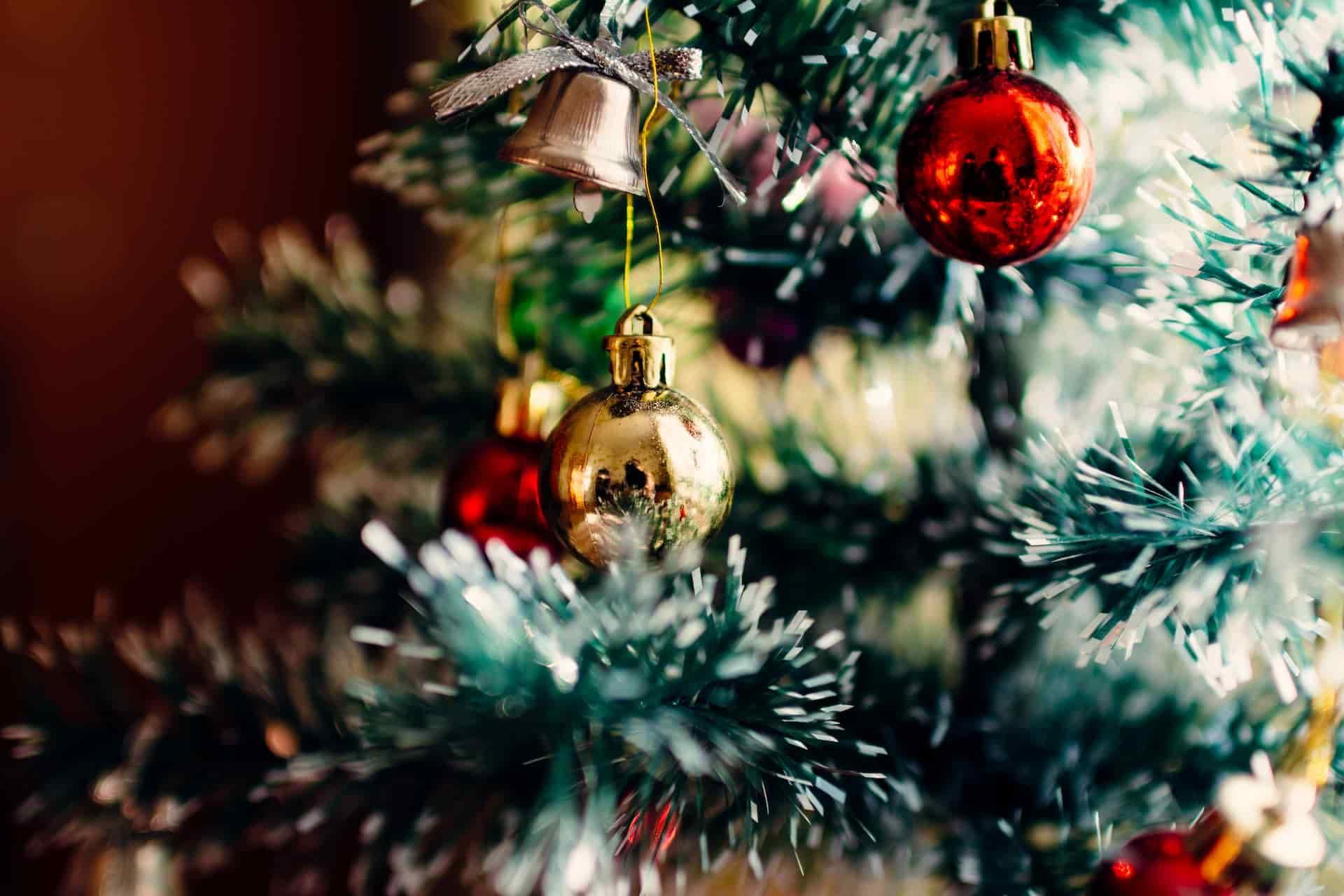 Albero e presepe non possono mancare nel periodo natalizio.