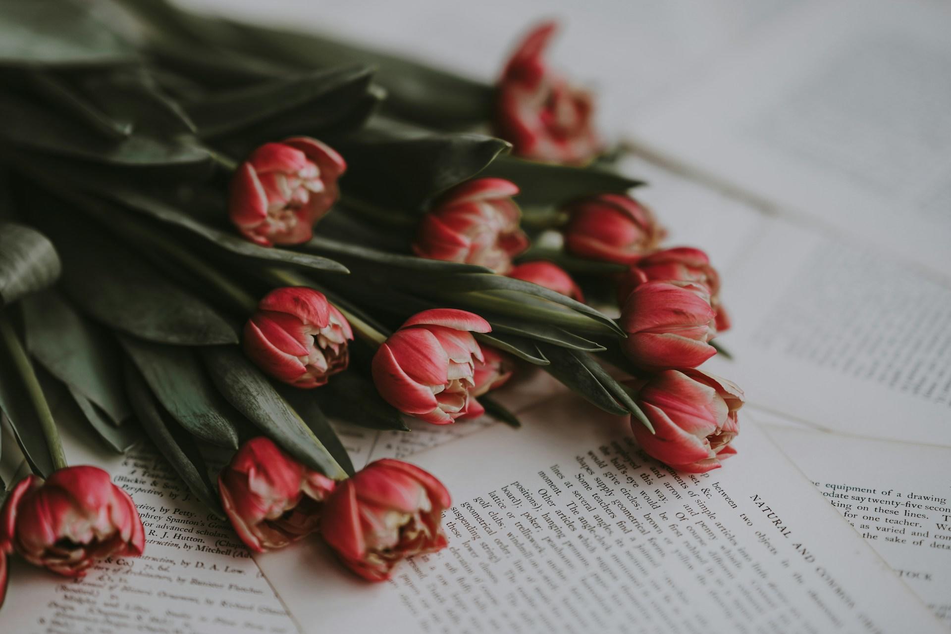 la Francia e la sua letteratura romantica