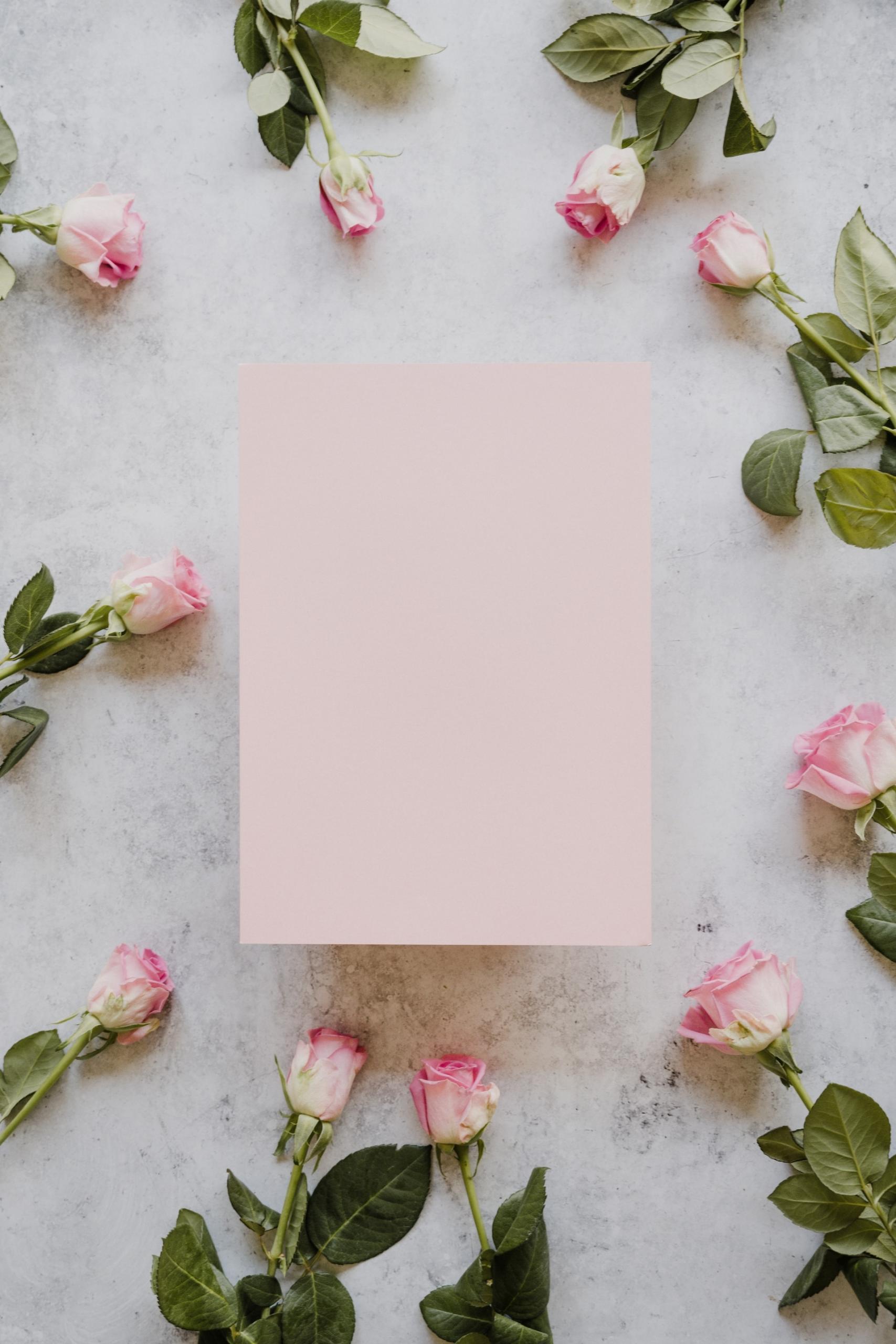 Foglio rosa circondato da rose romantiche