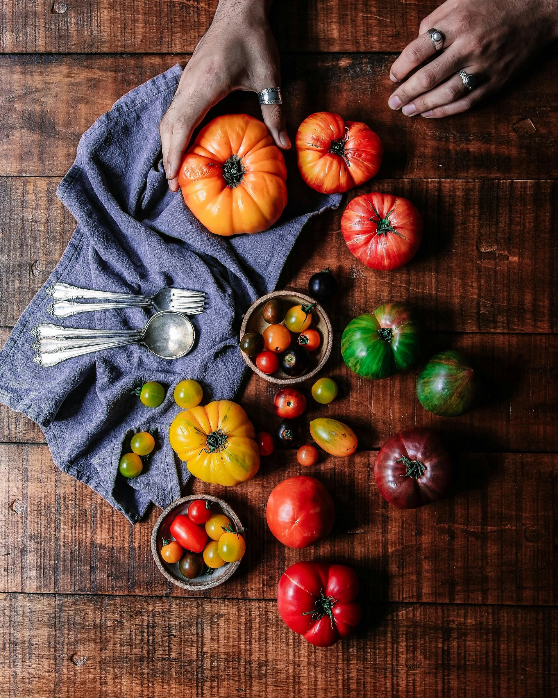 Pomodori per la festa della Tomatina