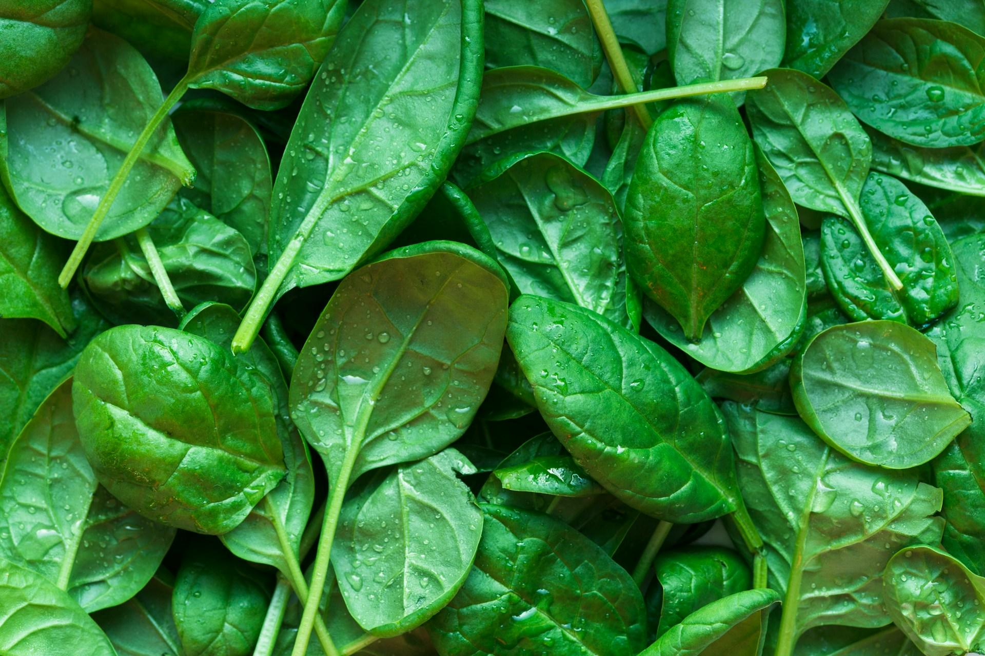 Un antipasto per il tuo menu pasquale
