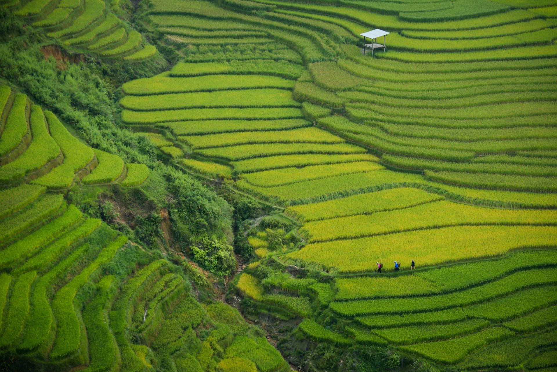 donne guerriere, le sorelle Trung in Vietnam