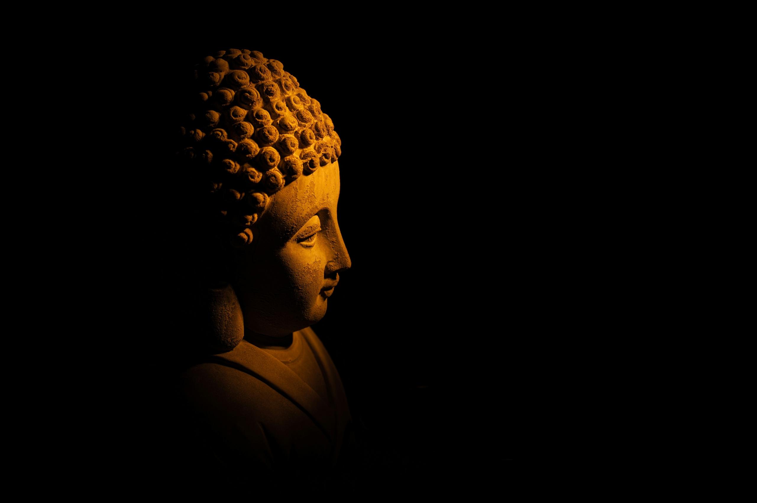 La dottrina buddhista e la sua storia.