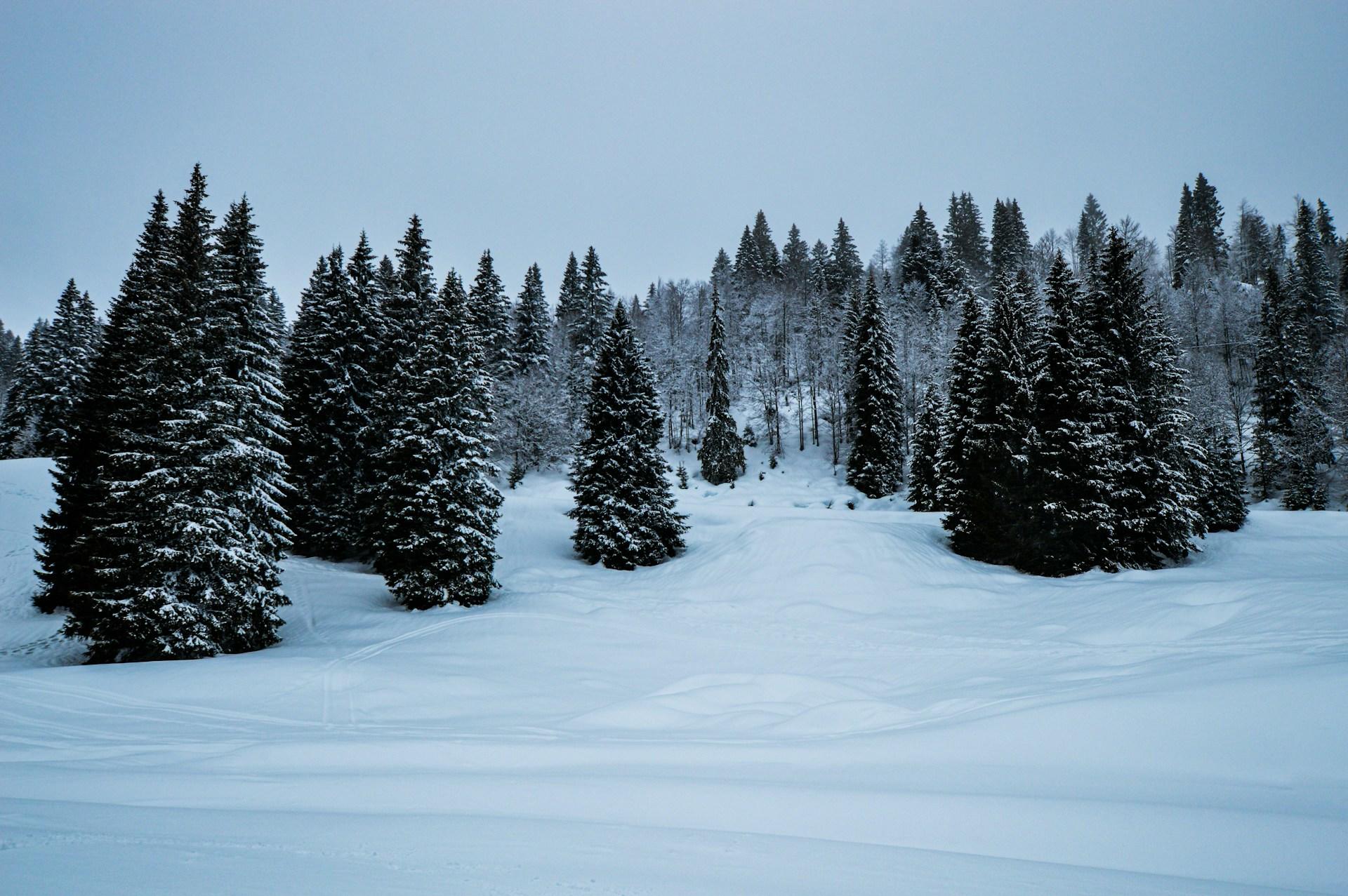Paesaggio di montagna ad Asiago