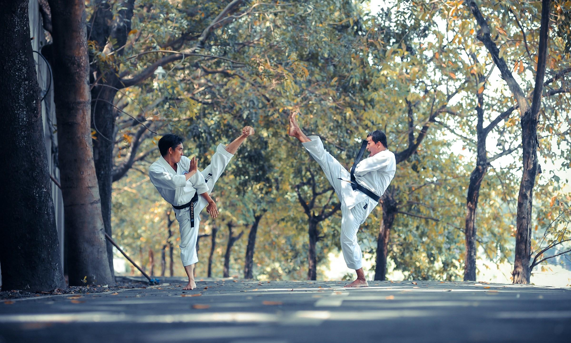 com'è nata l'arte marziale karate