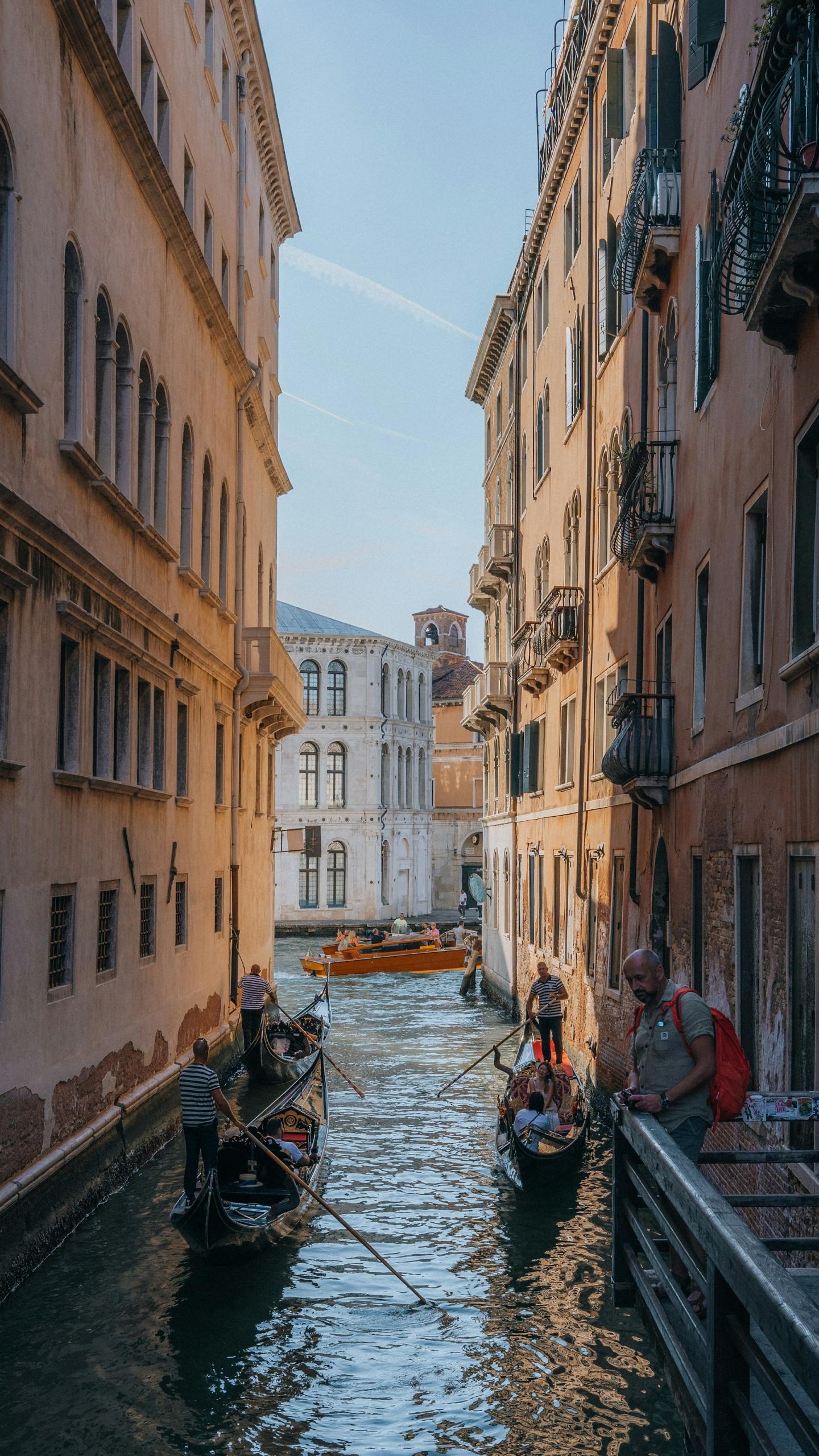 la mostra del cinema e i divi