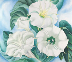 Dipinto di Georgia O'Keeffe, uno dei pittori famosi contemporanei.