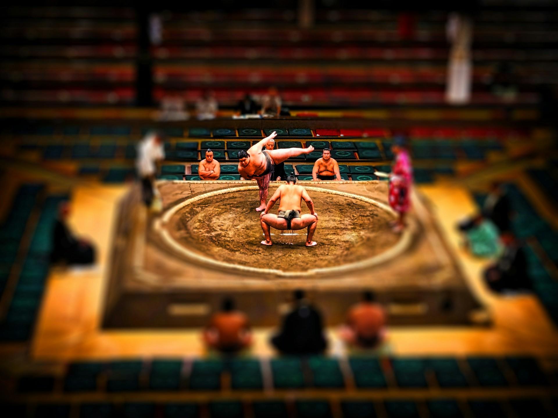 lottatori di sumo