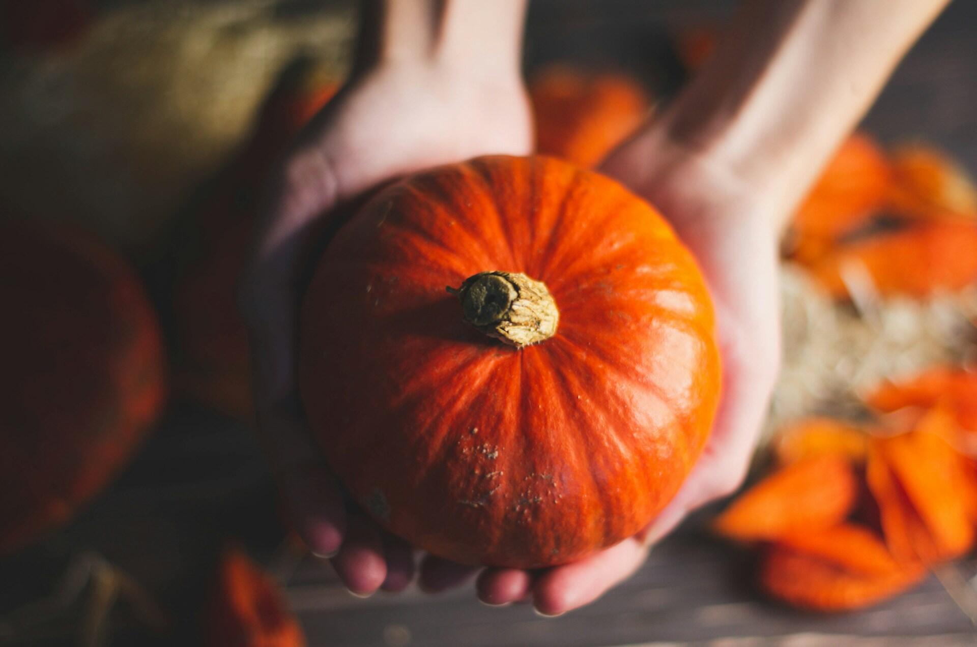 mani che tengono una zucca vista dall'alto