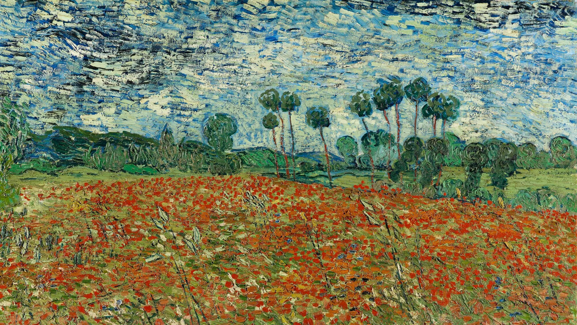 Il "Campo di papaveri" di Van Gogh