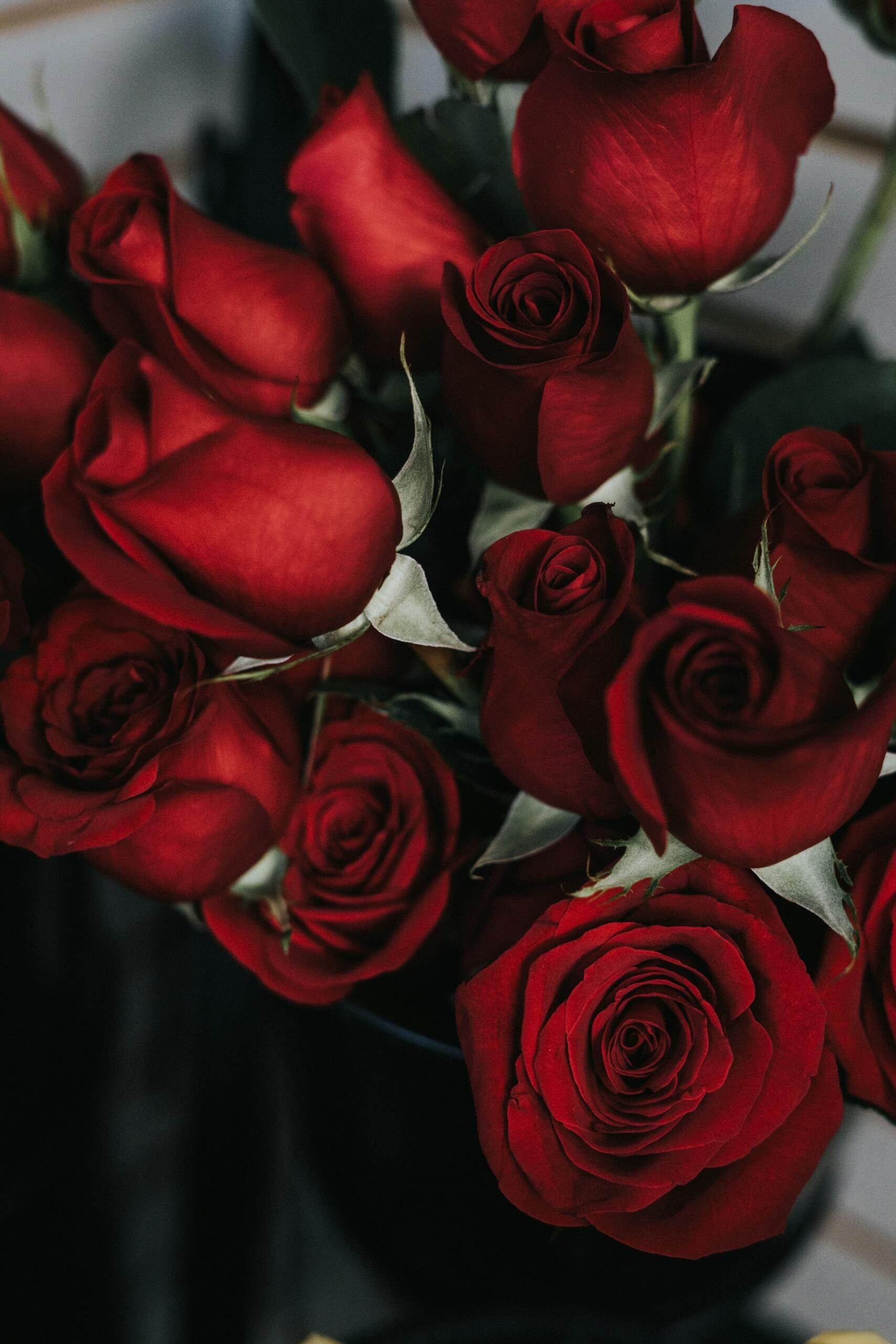 Rose rosse sul palco di Sanremo con Blanco