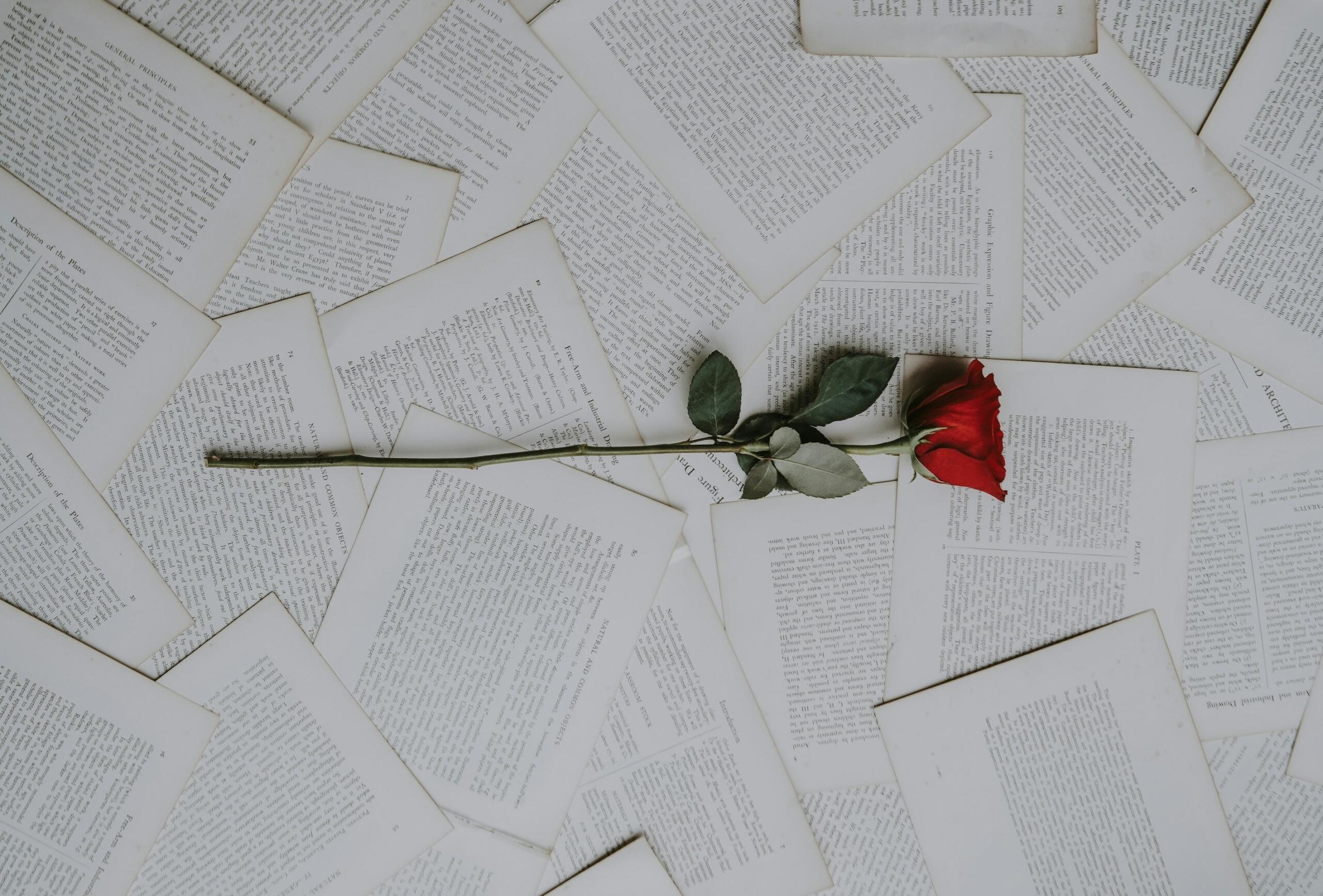 Primi passi nella scrittura di poesie d'amore.