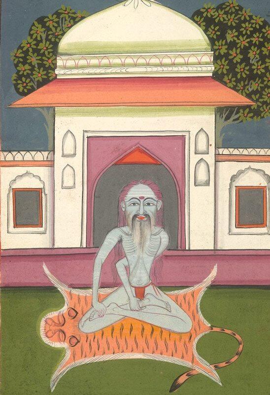 Gli asana dello yoga.