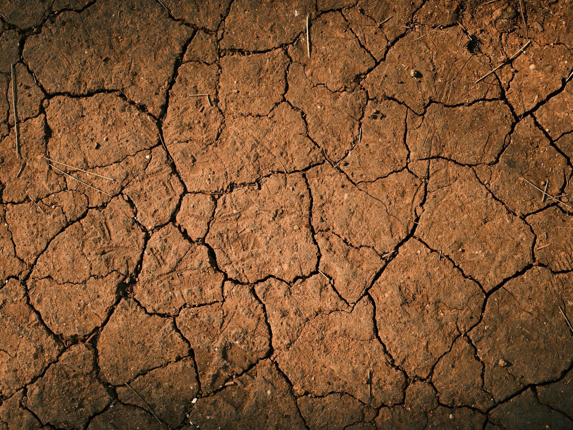 conseguenze della siccità sulla terra