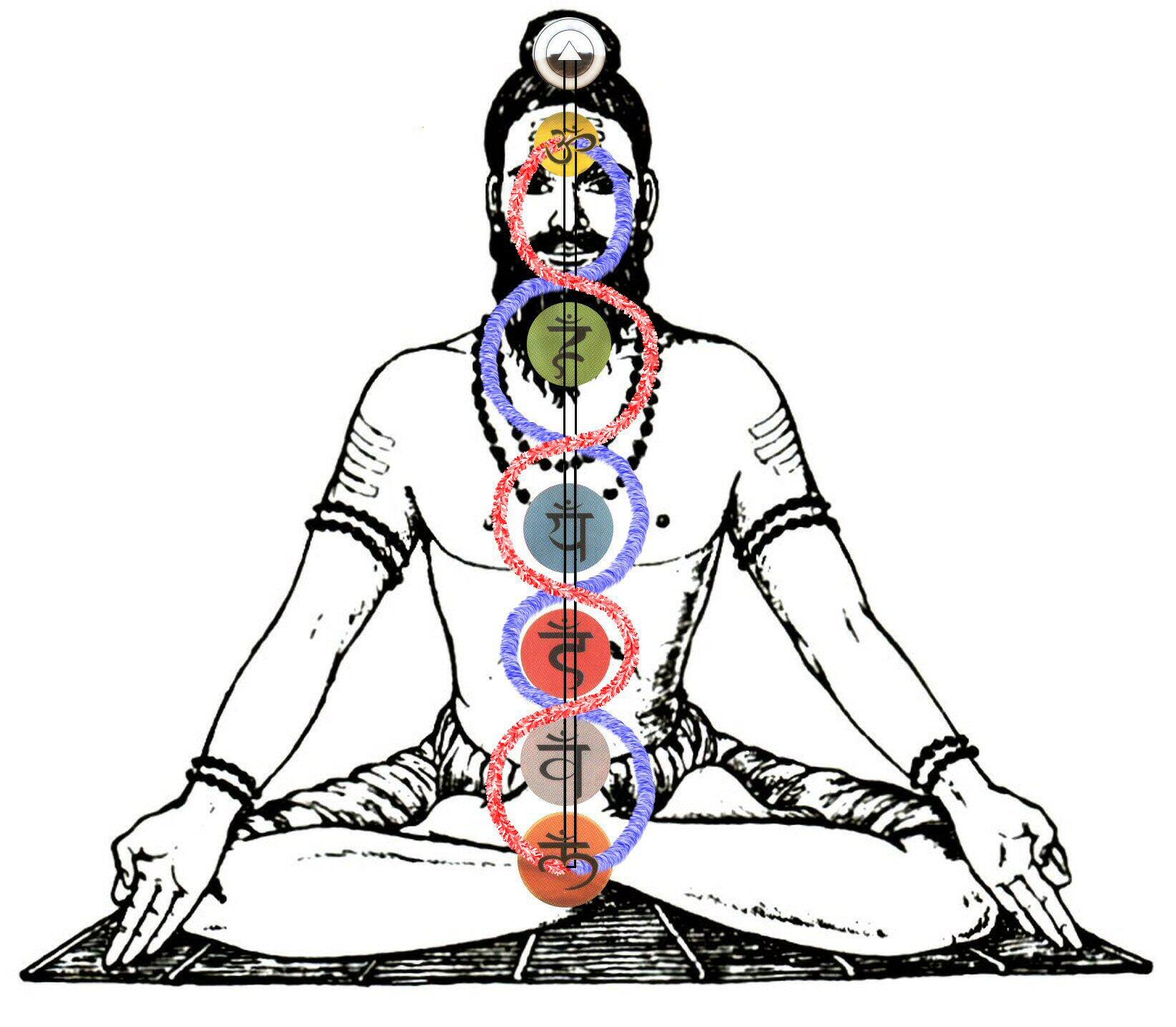 Kundalini, mantra e cakra nello yoga.