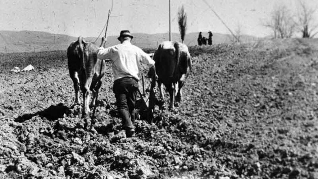 I canti popolari e la loro origine contadina.
