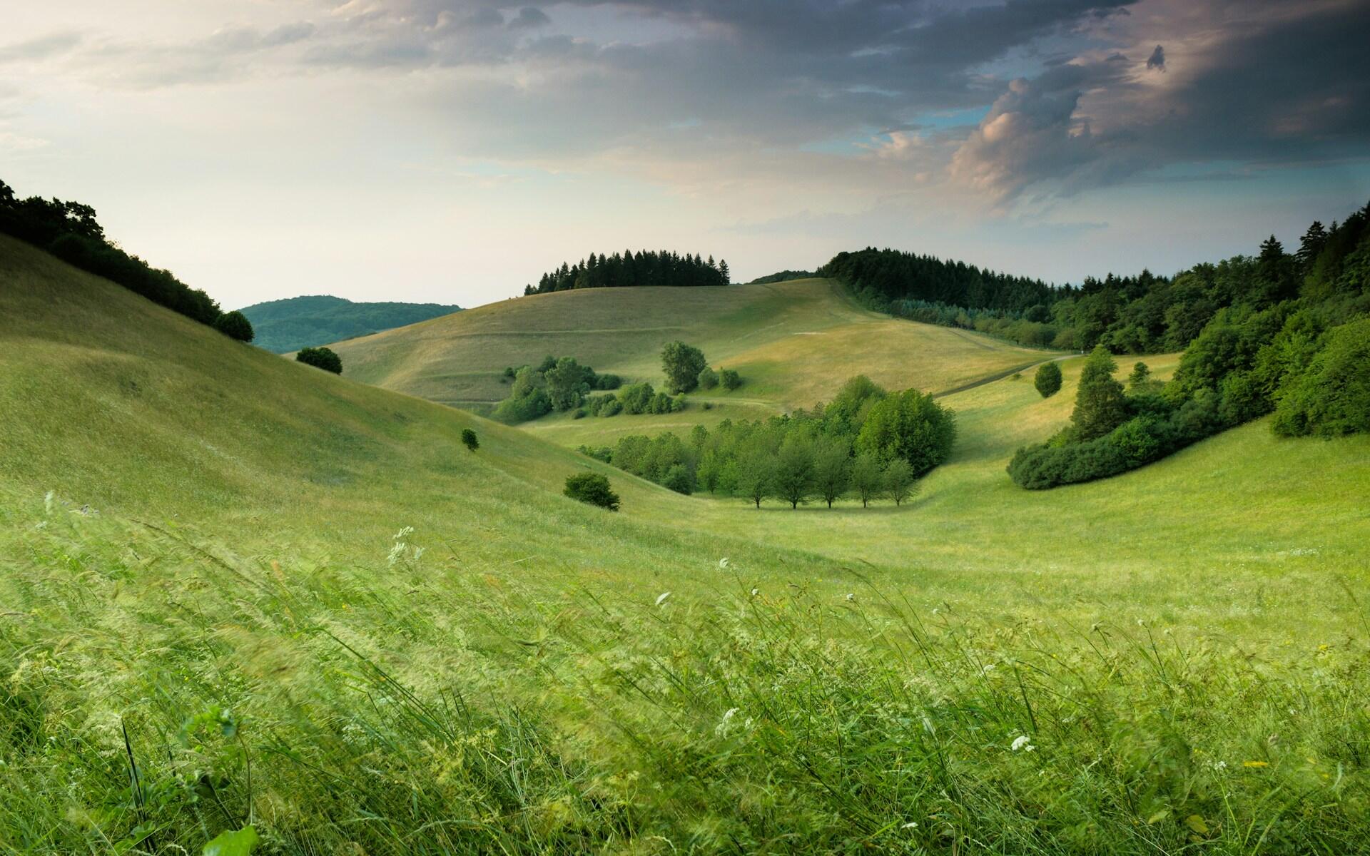 Caratteristiche delle colline.